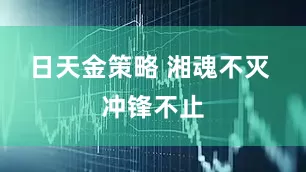 日天金策略 湘魂不灭 冲锋不止