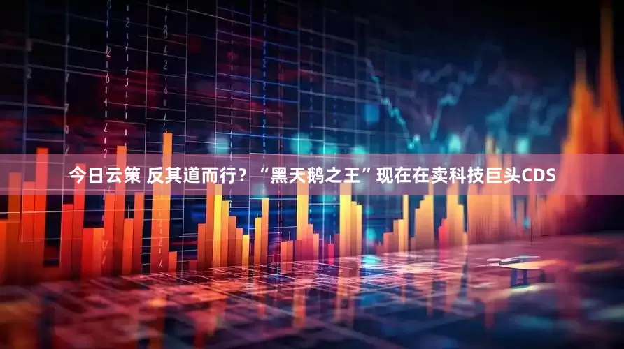 今日云策 反其道而行？“黑天鹅之王”现在在卖科技巨头CDS